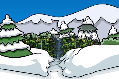 club penguin forest