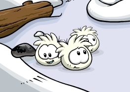 White Puffles