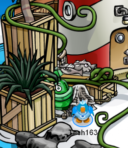 Rockhopper's Plant Decoration