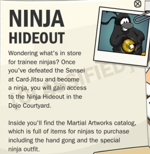 Ninja Secret