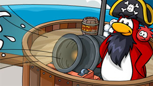 Rockhopper In Focus