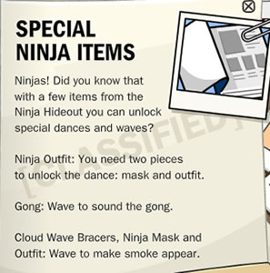 Ninja Item Secrets