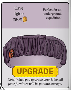 Cave Igloo