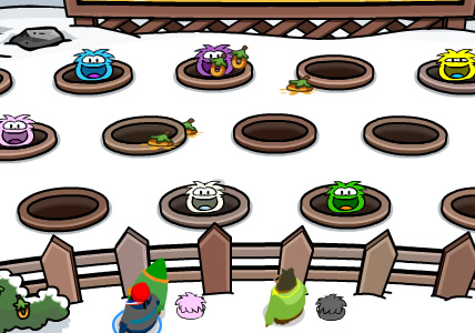 Club Penguin Cheats: How to Play Mini-Games in Your Penguin's Igloo!