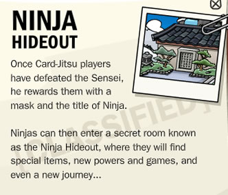 Ninja Secret