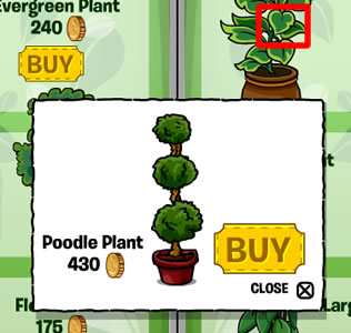 Poodle Plant