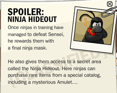 Ninja Secret